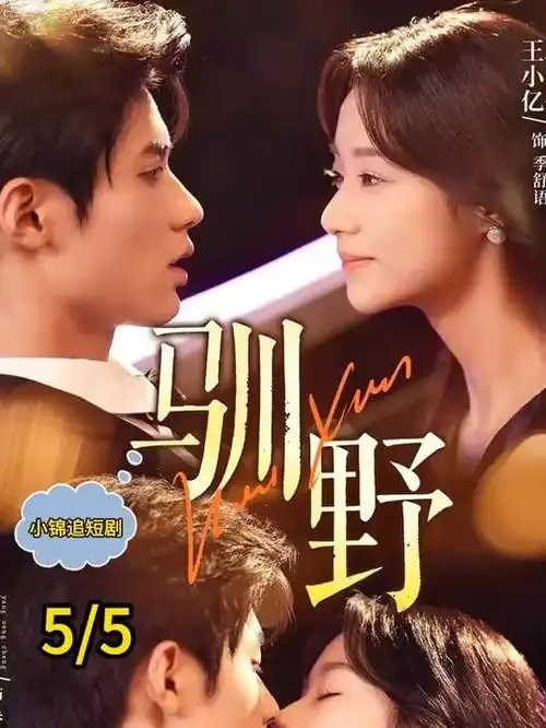 在线免费观看 海贼王